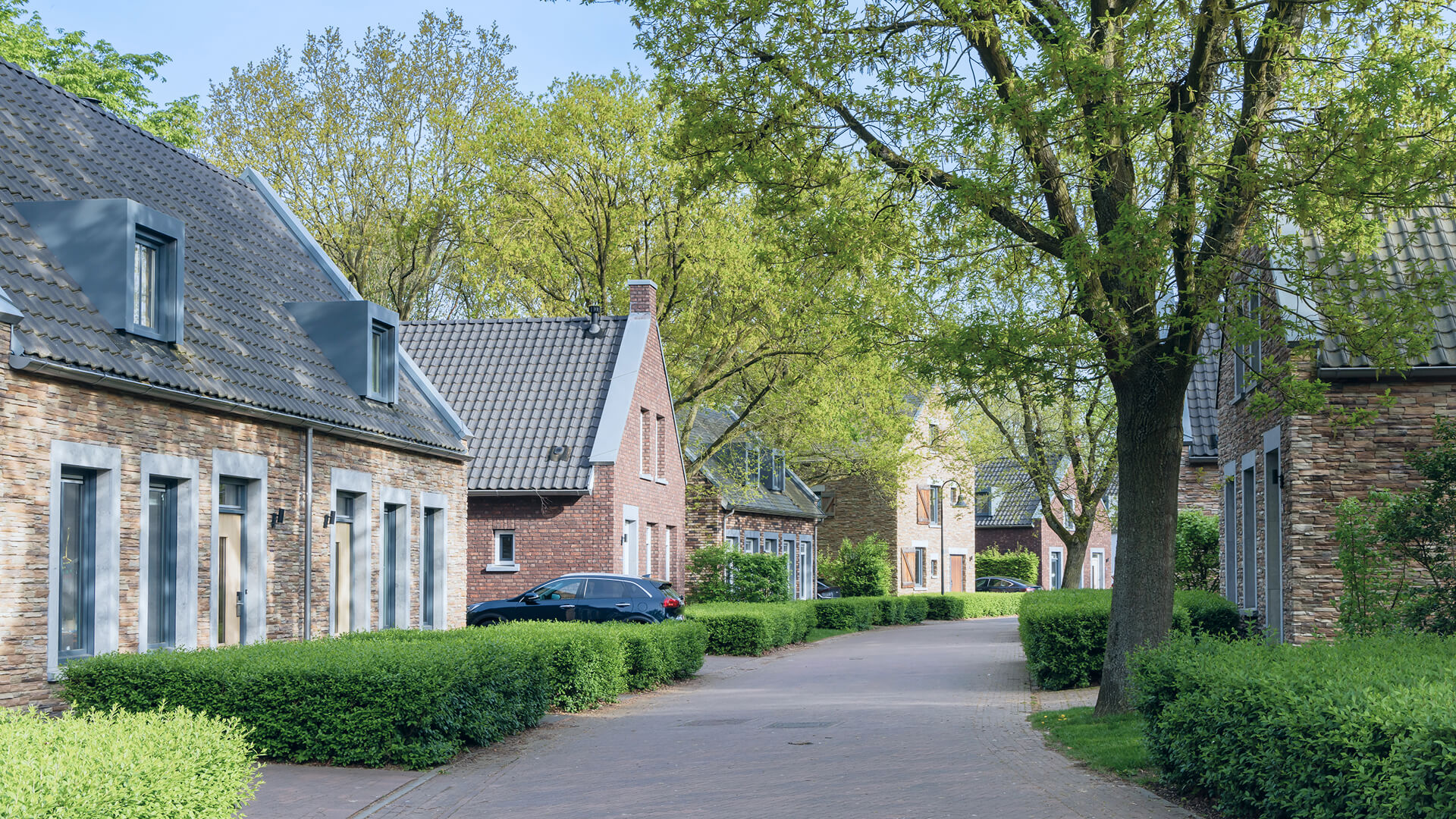 Verkoop